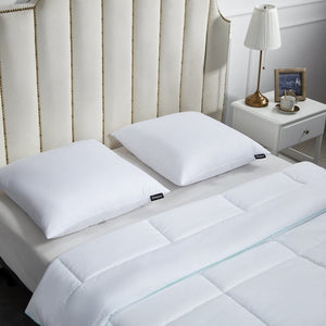 BR200910K Bedding/Bedding Essentials/Bed Pillows