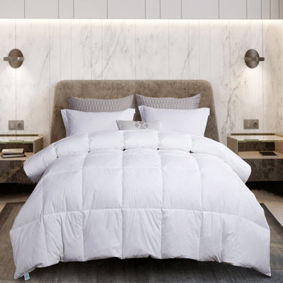 MS003034 Bedding/Bedding Essentials/Down Comforters