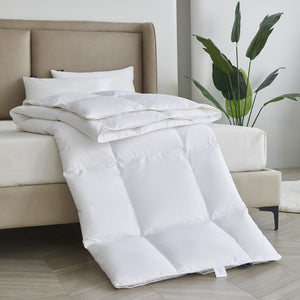 SE007561 Bedding/Bedding Essentials/Down Comforters
