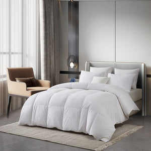 SE005361 Bedding/Bedding Essentials/Down Comforters