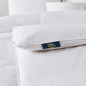 SE005363 Bedding/Bedding Essentials/Down Comforters