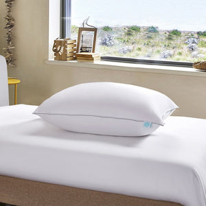MS208104 Bedding/Bedding Essentials/Bed Pillows