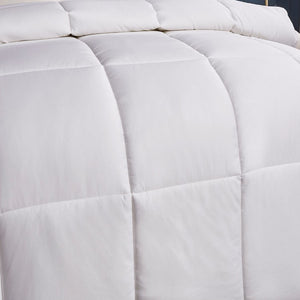 122001 Bedding/Bedding Essentials/Down Comforters