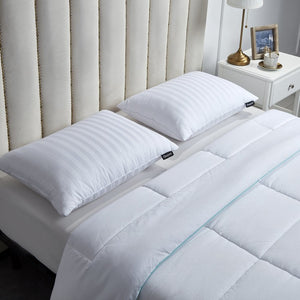 BR210032K Bedding/Bedding Essentials/Bed Pillows