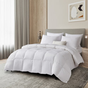 BR005372 Bedding/Bedding Essentials/Down Comforters