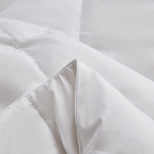 BR005372 Bedding/Bedding Essentials/Down Comforters
