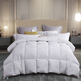Martha Stewart 100% Cotton Feather and Down All-Season Twin Comforter