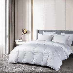 BR013433 Bedding/Bedding Essentials/Down Comforters