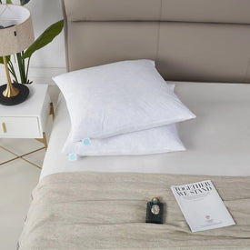 Martha Stewart 100% Cotton Euro Square Feather Firm Pillows 2-Pack