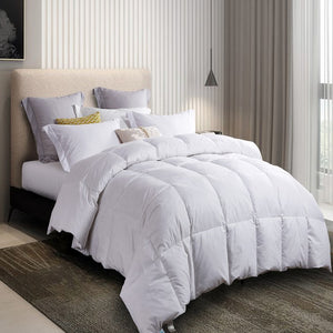 MS004223 Bedding/Bedding Essentials/Down Comforters