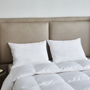 KI223201K Bedding/Bedding Essentials/Bed Pillows