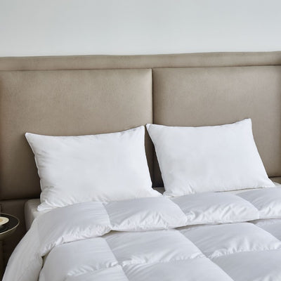 KI223201K Bedding/Bedding Essentials/Bed Pillows