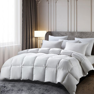 BR005132 Bedding/Bedding Essentials/Down Comforters