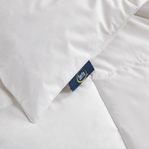 SE004541 Bedding/Bedding Essentials/Down Comforters