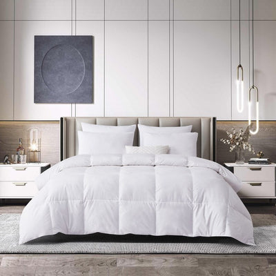 BR005382 Bedding/Bedding Essentials/Down Comforters