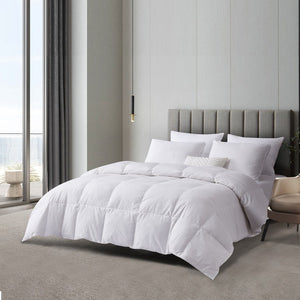 BR005383 Bedding/Bedding Essentials/Down Comforters