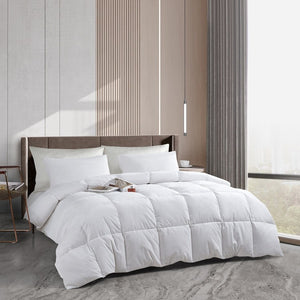 SE004543 Bedding/Bedding Essentials/Down Comforters