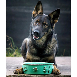 PDSA3001 Decor/Pet Accessories/Pet Bowls & Food Containers