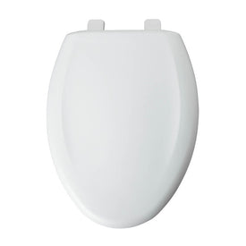 Plastic Toilet Seat with Traditional Hinges
