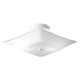 Illuma-Flex Series Two-Light Flush Mount Ceiling Fixture