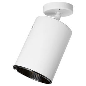 Directional Single-Light Flat Back Wall/Ceiling Light