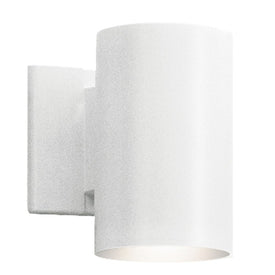 Indoor/Outdoor Single-Light Wall Sconce