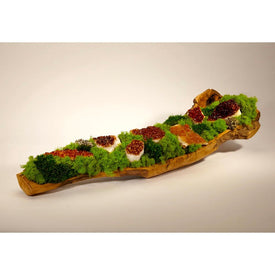 Organic Moss Garden with Citrine Geode in Hand-Carved Wood Log