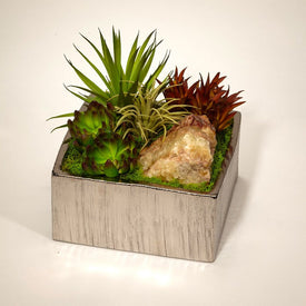 Succulents with Green Calcite in Silver Square Container