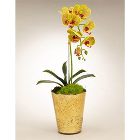 Green Orchid in Gold Vintage Mercury Glass