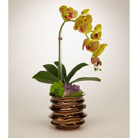 Green Orchid with Amethyst in Bronze Wavy Pot