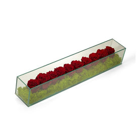 Fuchsia Preserved Roses in Rectangular Glass Box