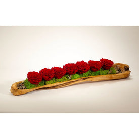 Fuchsia Preserved Roses in Elongated Wood Log
