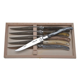 Jean Dubost Laguiole Six Steak Knives with Mineral Color Handles in Clasp Box