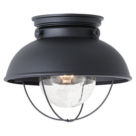 Sebring Single-Light Outdoor Flush Mount Ceiling Fixture