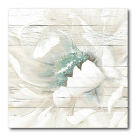 Weathered White I 30" x 30" Gallery-Wrapped Canvas Wall Art