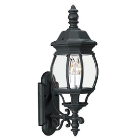 Wynfield Two-Light Outdoor Wall Lantern