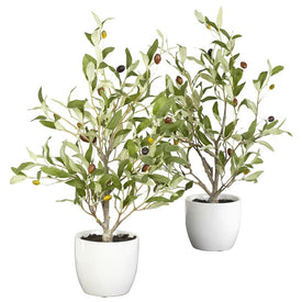 18" Faux Olive Tree with Vases Set of 2