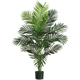 5' Paradise Palm Tree with 12 Leaves
