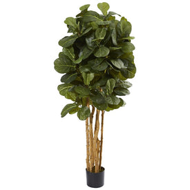 5' Fiddle Leaf Fig Tree