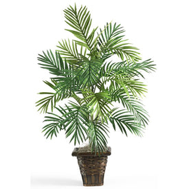 Areca Palm with Wicker Basket
