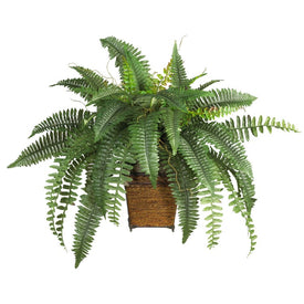 Boston Fern with Wood Wicker Basket