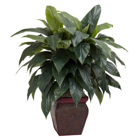 Cordyline with Decorative Vase