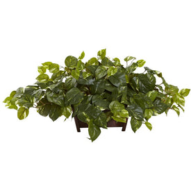 Pothos with Rectangle Decorative Planter