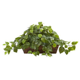 15" Faux Pothos with Ledge Basket