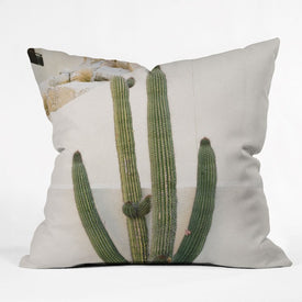 Bethany Young Photography Cabo Cactus X 26" x 26" Outdoor Throw Pillow