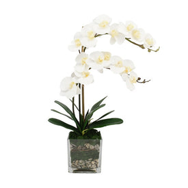27" Artificial White Orchids and Bamboo in Glass Vase
