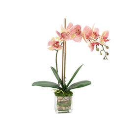 21" Artificial Pink Orchids and Bamboo in Glass Vase