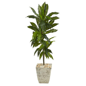 4' Dracaena Artificial Plant in Country White Planter (Real Touch
