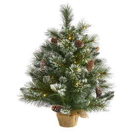 2' Frosted Pine Artificial Christmas Tree with 35 Clear LED Lights, Pinecones and Burlap Base