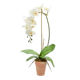 26" Artificial Orchid in Clay Pot